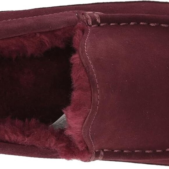 NEW UGG Men’s Ascot Slippers Wild Grape Size 9 main image 4